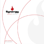 Synergy Group Profile